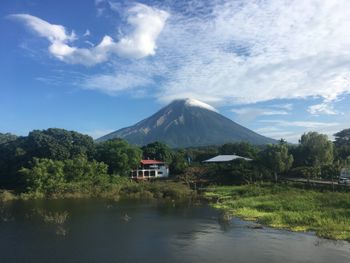 The Majestic Concepcion
