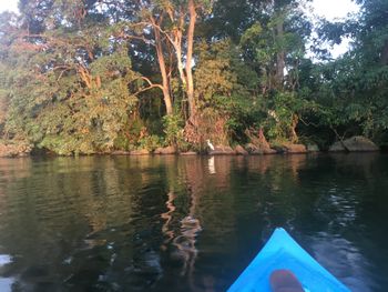 Kayak trip in the wetlands
