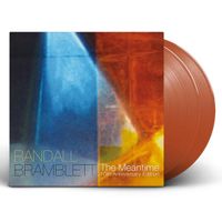 The Meantime 10th Anniversary Edition Vinyl: Double LP