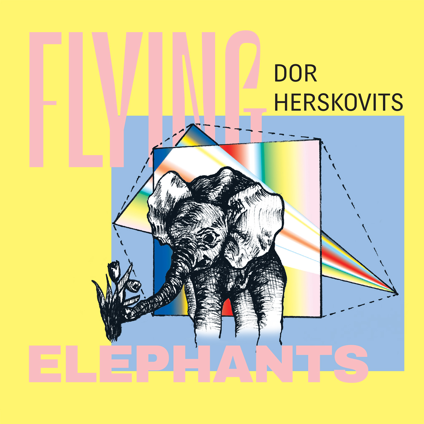コンフィデント・イレブン / Flying Elephants (CD) fit=scale-down,w=1200