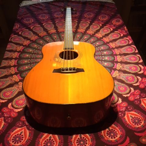 Suzy Starlite's King John acoustic bass made by Roger Bucknell MBE owner of Fylde Guitars 