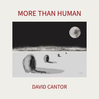 More Than Human by David Cantor