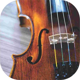 Click to learn more about violin and viola lessons in the Cambridge and Somerville area.