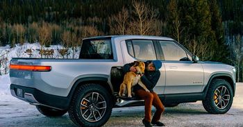 Dogs Love Electric Trucks
