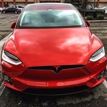 Gorgeous Red Model X

