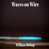 Waves on Wire: Vinyl
