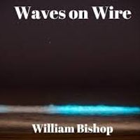 Waves on Wire by William Bishop