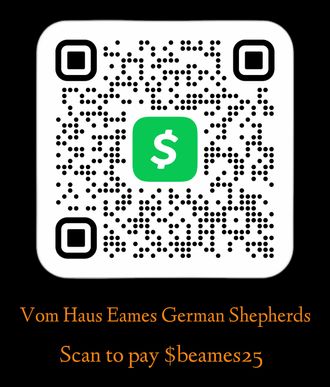 Screenshot of the Cash App scan feature, allowing users to scan and send money conveniently.