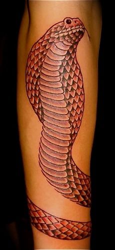 Red King Cobra on upper arm
