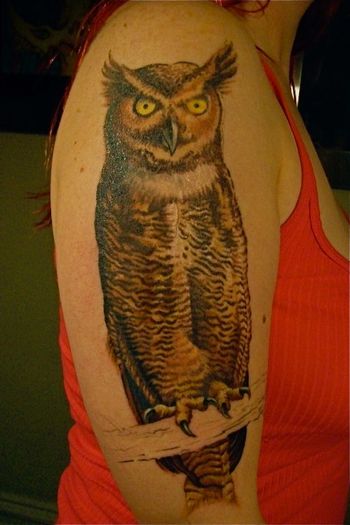 Erin's owl 2008
