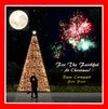 For The Faithful - At Christmas!: CD