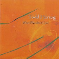 What I Wouldn't Give: What I Wouldn't Give - Physical CD