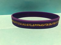 Wrist Bands