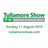 The Tullamore Show, Main Stage, Time T.B.C.