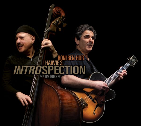 Introspection (CD)