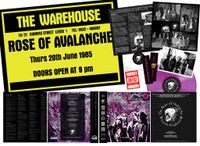 The Rose of Avalanche at the BBC: The Rose of Avalanche at the BBC - Vinyl - Deluxe Edition (PRE SALE)