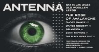 Antenna Festival