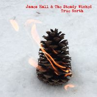 True North by James Hall & The Steady Wicked