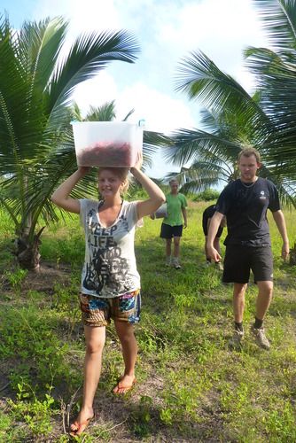 Volunteers helping to build
