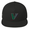VBLN Flat Bill V-Backs Snapback