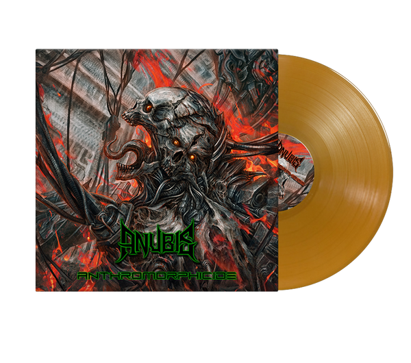 M-Theory Audio - Store