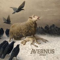 AVERNUS: Grievances (Pre-order)