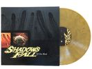 Of One Blood: by SHADOWS FALL (limited vinyl reissue yellow/black marble)