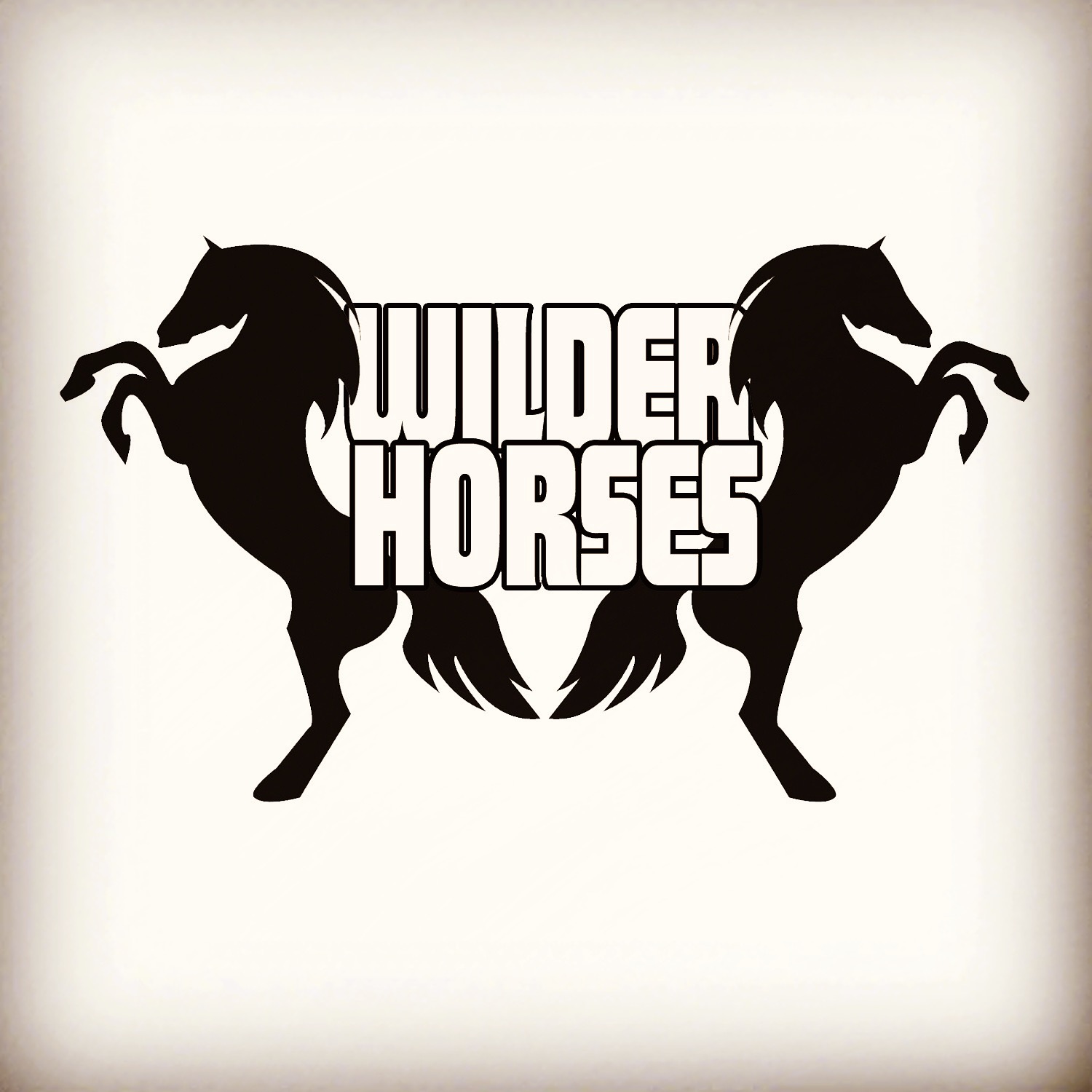 wilderhorsesband.com