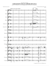 Tchaikovsky - Variations on a Rococo Theme (Urtext Edition, Orchestra Parts)