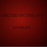 Entropy by Orchid in the Ivy