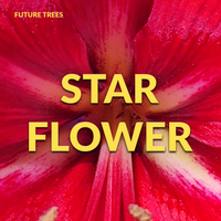 STARFLOWER - BONUS by Future Trees