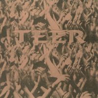 Teer S/T Indie Release 1996 by Teer