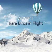 Rare Birds in Flight at Roots Bistro