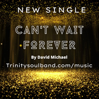 Can't Wait Forever by David Michael/Trinity Soul
