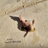 aho EP by youssef abouzeid