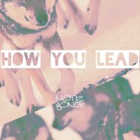 How You Lead (Bundle) by Notiz YONG