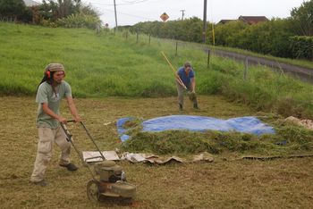 making our own mulch
