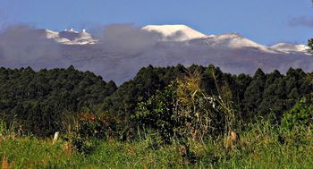Mauna Kea with snow and observatories
