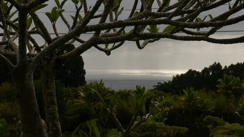 serene light on the ocean
