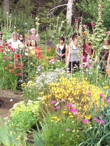 Hollyhock 2012 singing in the garden
