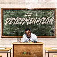 Determination by Ligit