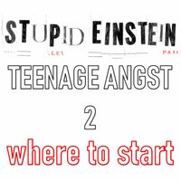 Where to start by Stupid Einstein
