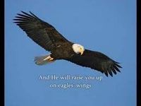 Learn to Play "Eagle's Wings"