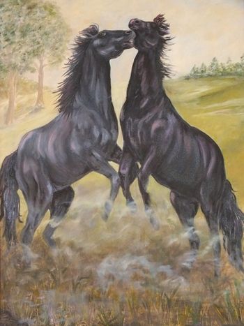 Black StallionsOil18" x 24"

