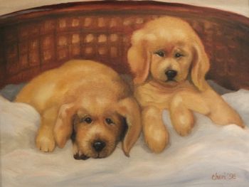 Golden Retriever PupsOil16" x 20"
