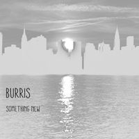 Something New by Burris