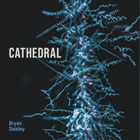 Cathedral by Bryan Daisley