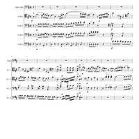 Mozart Concerto in D K. 447 - For Cello and Cello Orchestra
