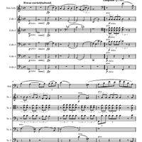 Schumann Cello Concerto 2nd Movement for Solo Cello and Cello Ensemble