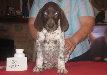 8 weeks old
